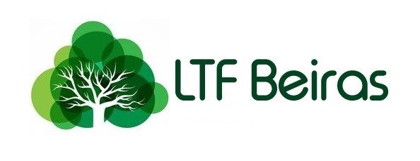 LTF Beiras — Logótipo